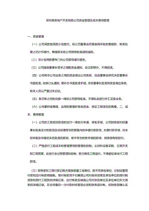 深圳某房地产开发有限公司资金管理及成本费用管理.docx