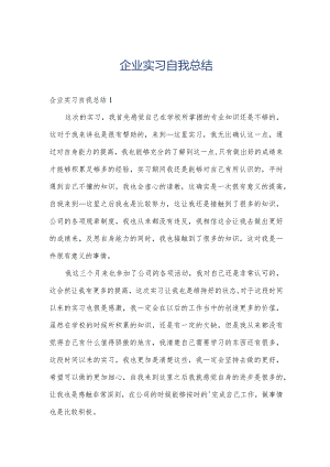 企业实习自我总结.docx