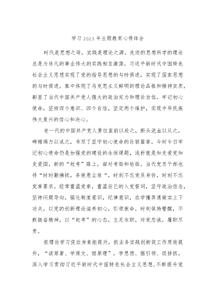 学习2023年主题教育心得体会.docx