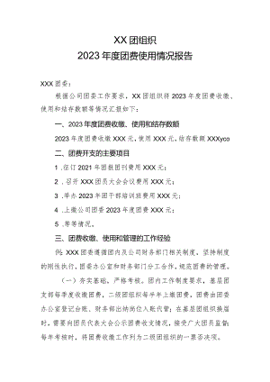 xxx团组织2023年度团费使用情况报告20231215.docx