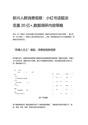 新兴人群消费观察：小红书话题浏览量20亿+数据调研内容策略.docx