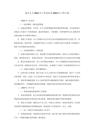 某乡人大2023年工作总结及2024年工作计划.docx