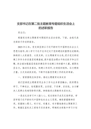 在2023年主题教育专题组织生活会上的述职报告（支部书记）.docx