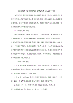 大学班级寒假社会实践活动方案.docx