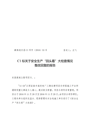 2016年安全生产“回头看”大检查整改情况回复.docx