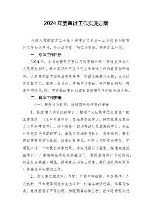 2024年度审计工作实施方案.docx