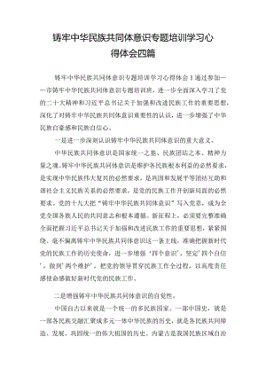 铸牢中华民族共同体意识专题培训学习心得体会四篇.docx