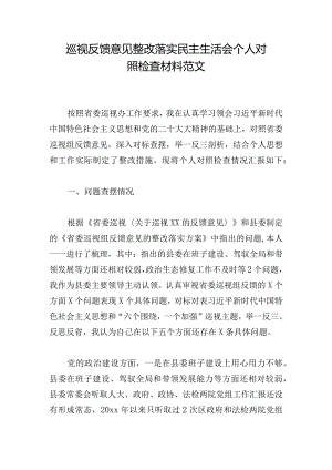 巡视反馈意见整改落实民主生活会个人对照检查材料范文.docx