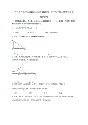 青海省海东市互助县第二片区2023-2024学年九年级上册数册末模拟试题（附答案）.docx