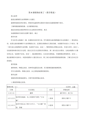第4课 植物结果了（教学设计）三年级科学下册（苏教版）.docx