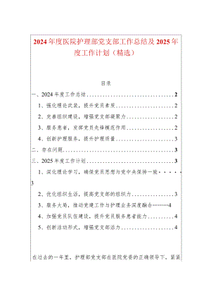 2024年度医院护理部党支部工作总结及2025年度工作计划（精选）.docx