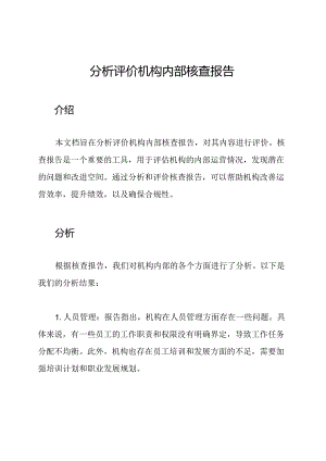 分析评价机构内部核查报告.docx