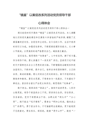 “镜鉴”以案促改系列活动党员领导干部心得体会.docx