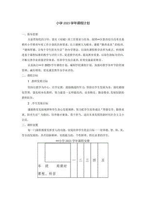 小学2023学年课程计划.docx
