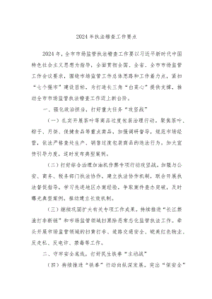 2024年执法稽查工作要点.docx