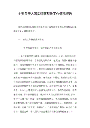 主要负责人落实巡察整改工作情况报告.docx