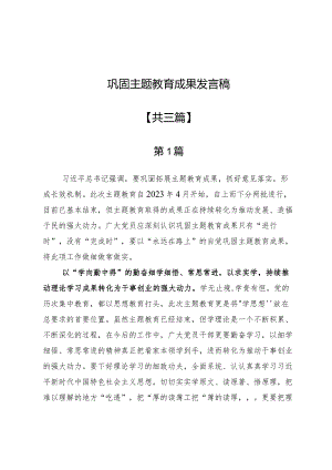 巩固主题教育成果发言稿3篇.docx