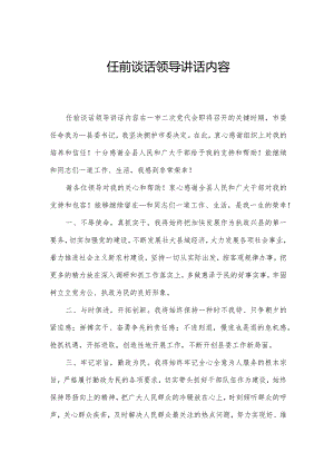 任前谈话领导讲话内容.docx