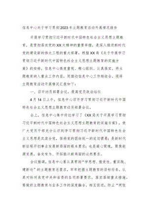 信息中心关于学习贯彻2023年主题教育活动开展情况报告.docx