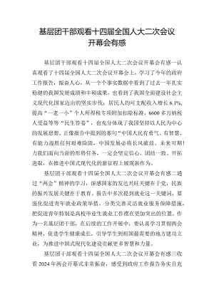 基层团干部观看十四届全国人大二次会议开幕会有感.docx