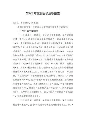 2023年度副县长述职报告.docx