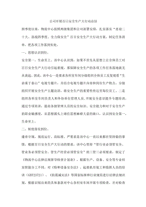 公司开展百日安全生产大行动总结.docx
