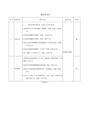 安全生产高处作业一般检查项目.docx
