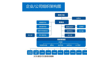 企业公司组织架构图模板.docx