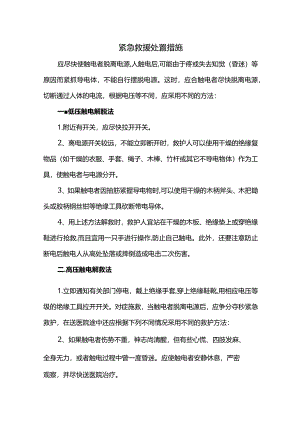 紧急救援处置措施.docx