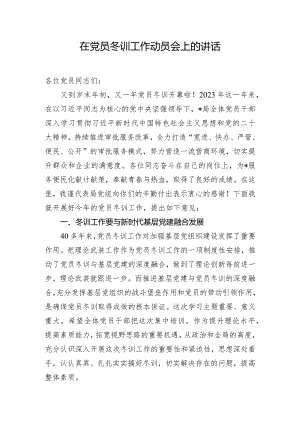 在党员冬训工作动员会上的讲话.docx