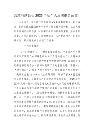 挂职副县长2023年度个人述职报告范文.docx