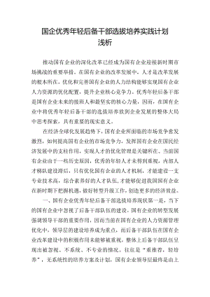 国企优秀年轻后备干部选拔培养实践计划浅析.docx