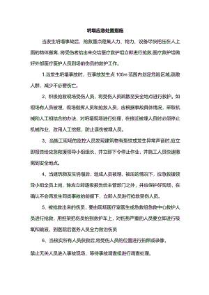 坍塌应急处置措施.docx