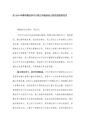 在2024年青年理论学习小组工作座谈会上的交流发言范文.docx