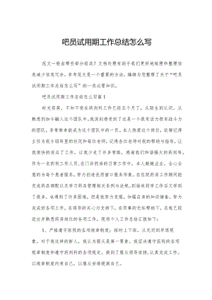 吧员试用期工作总结怎么写.docx