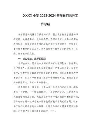 小学2023-2024青年教师培养工作总结.docx