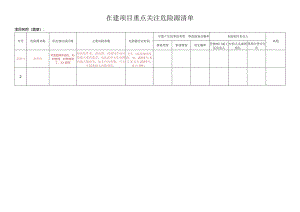 在建项目重点关注风险清单.docx