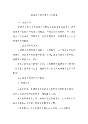 巡视期间突发事件应急预案.docx