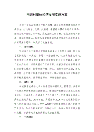 市农村集体经济发展实施方案.docx