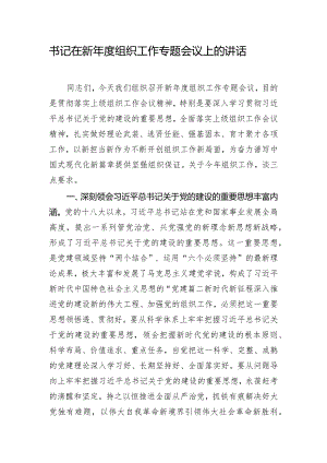 书记在新年度组织工作专题会议上的讲话.docx