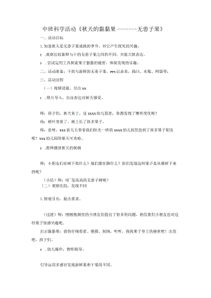 中班科学活动：秋天的黏黏果——无患子公开课教案教学设计课件资料.docx