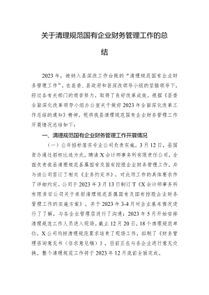 关于清理规范国有企业财务管理工作的总结.docx