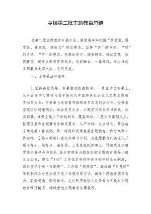 乡镇第二批主题教育总结.docx