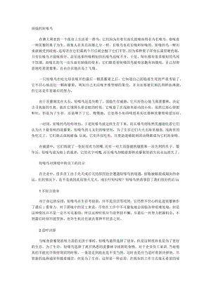 困境中 员工应该怎样规划自己.docx