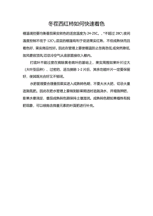 冬茬西红柿如何快速着色.docx