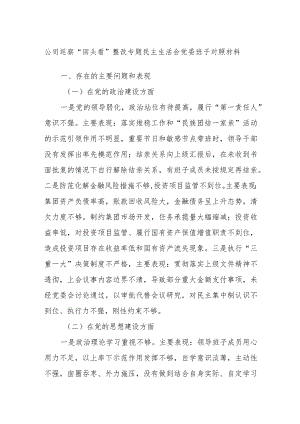 公司巡察“回头看”整改专题民主生活会党委班子对照材料.docx