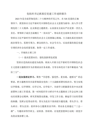 党组织书记抓基层党建工作述职报告.docx