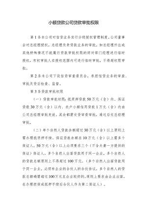 小额贷款公司贷款审批权限.docx
