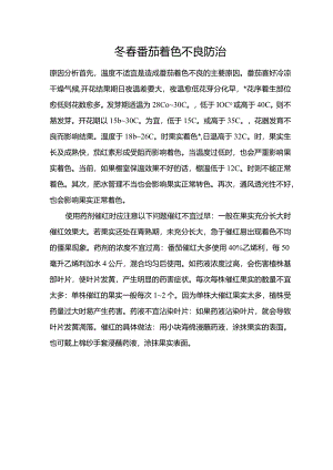 冬春番茄着色不良防治.docx