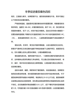 冬季促进番茄着色四招.docx